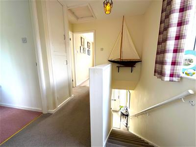 Picture 14